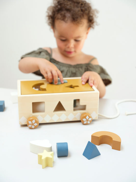 Carrito Clasificador - Pre Ordena