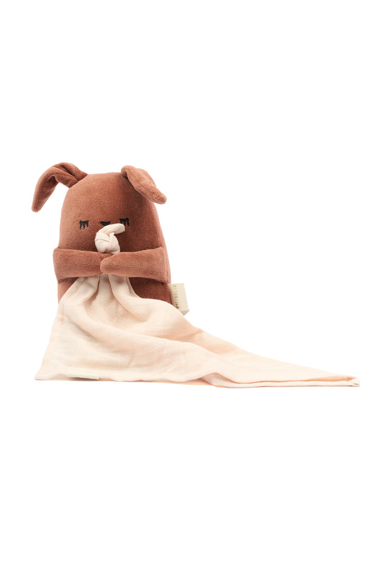 Conejito Fabbie con Música