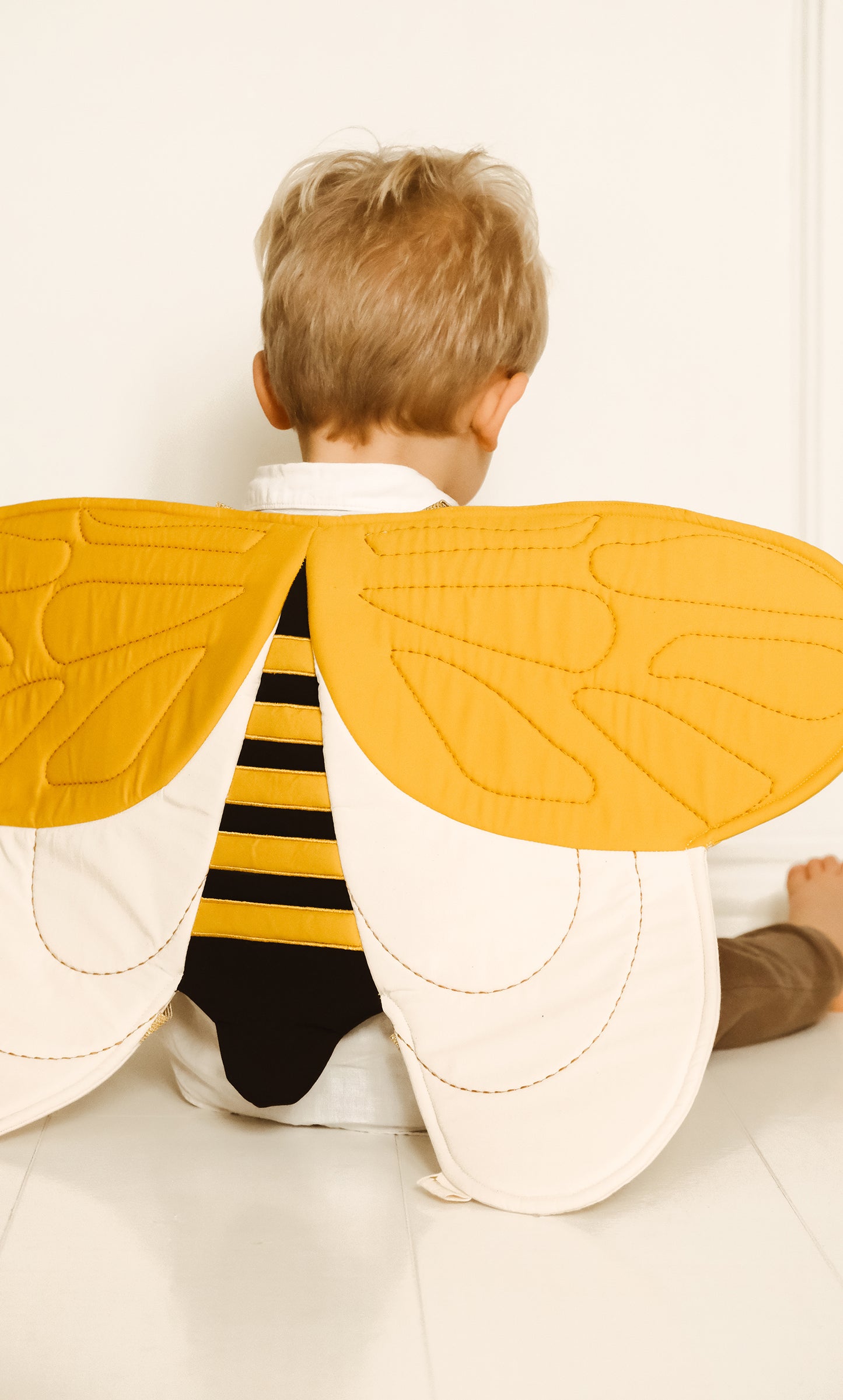 Alas de Abeja