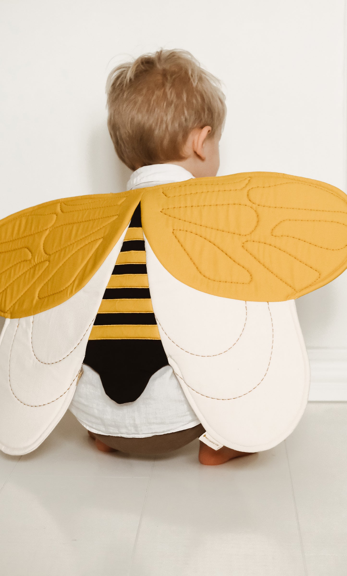 Alas de Abeja