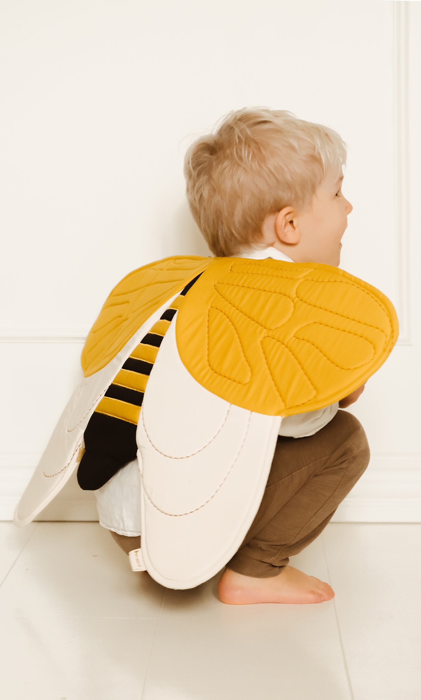 Alas de Abeja