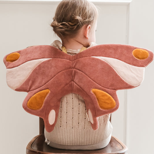 Dreamy Butterfly Wings