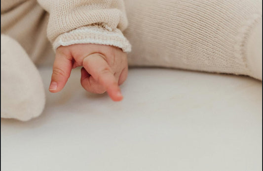 Conjunto Sevilla Arena