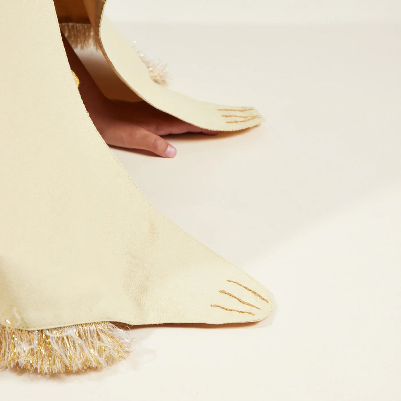 Majestic Lion Adventure