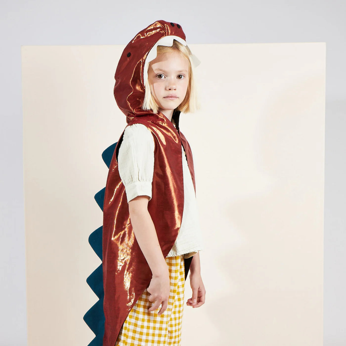 Dinosaur Costume - Pre Ordena