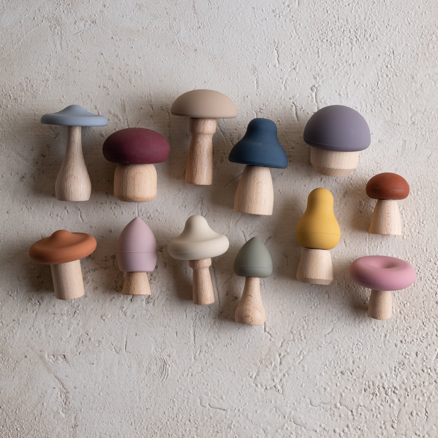 Shrooms Magic Forest