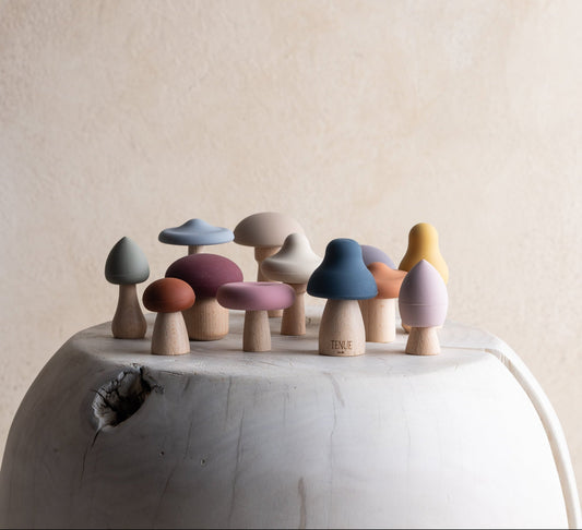 Shrooms Magic Forest