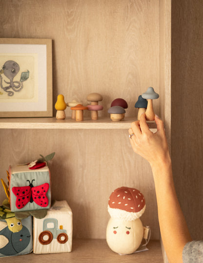 Shrooms Magic Forest