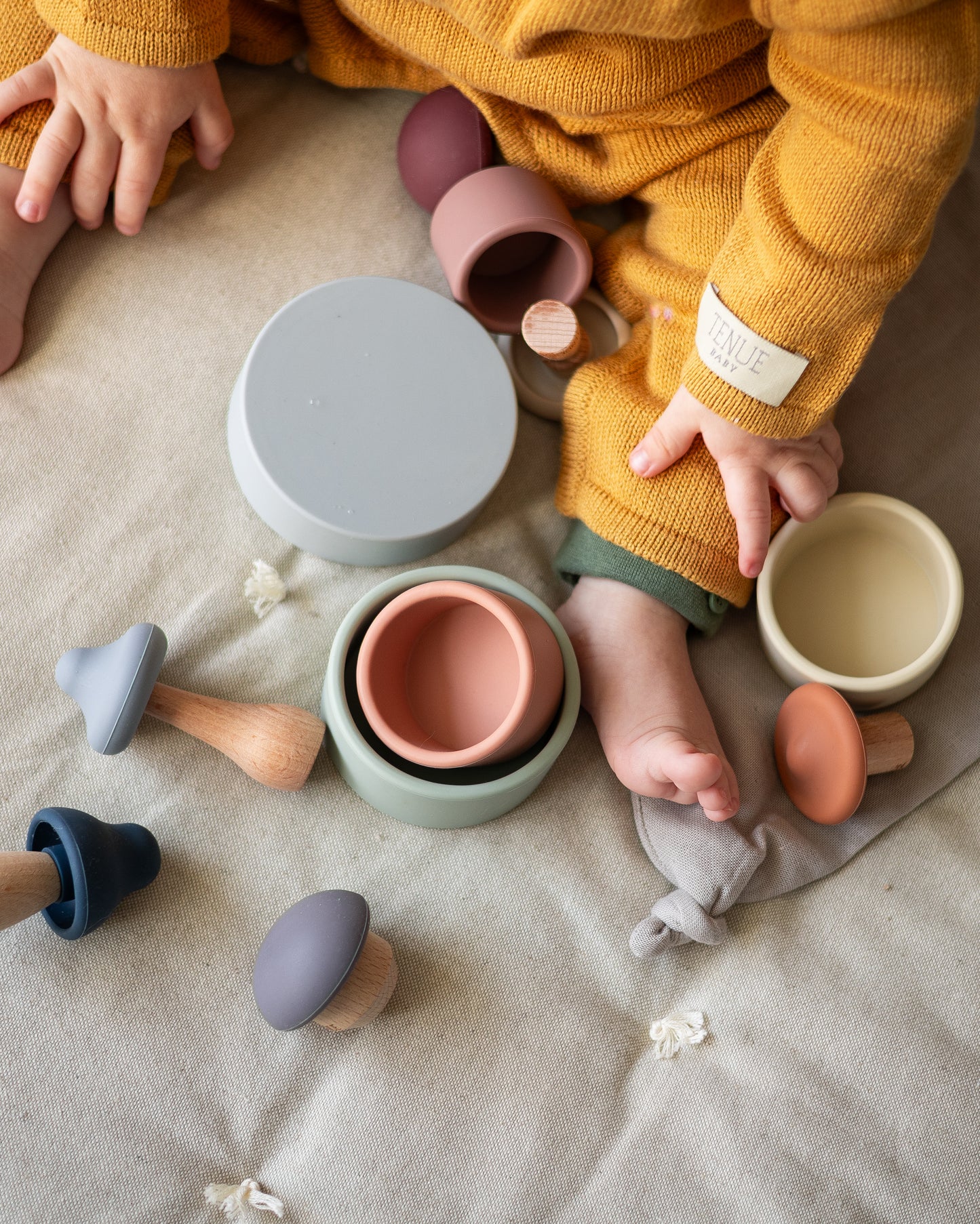 Shrooms Magic Forest