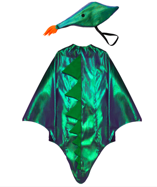 Dragon Costume