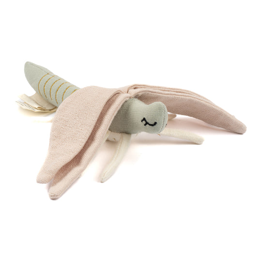 Sonaja Libélula - Pre Ordena