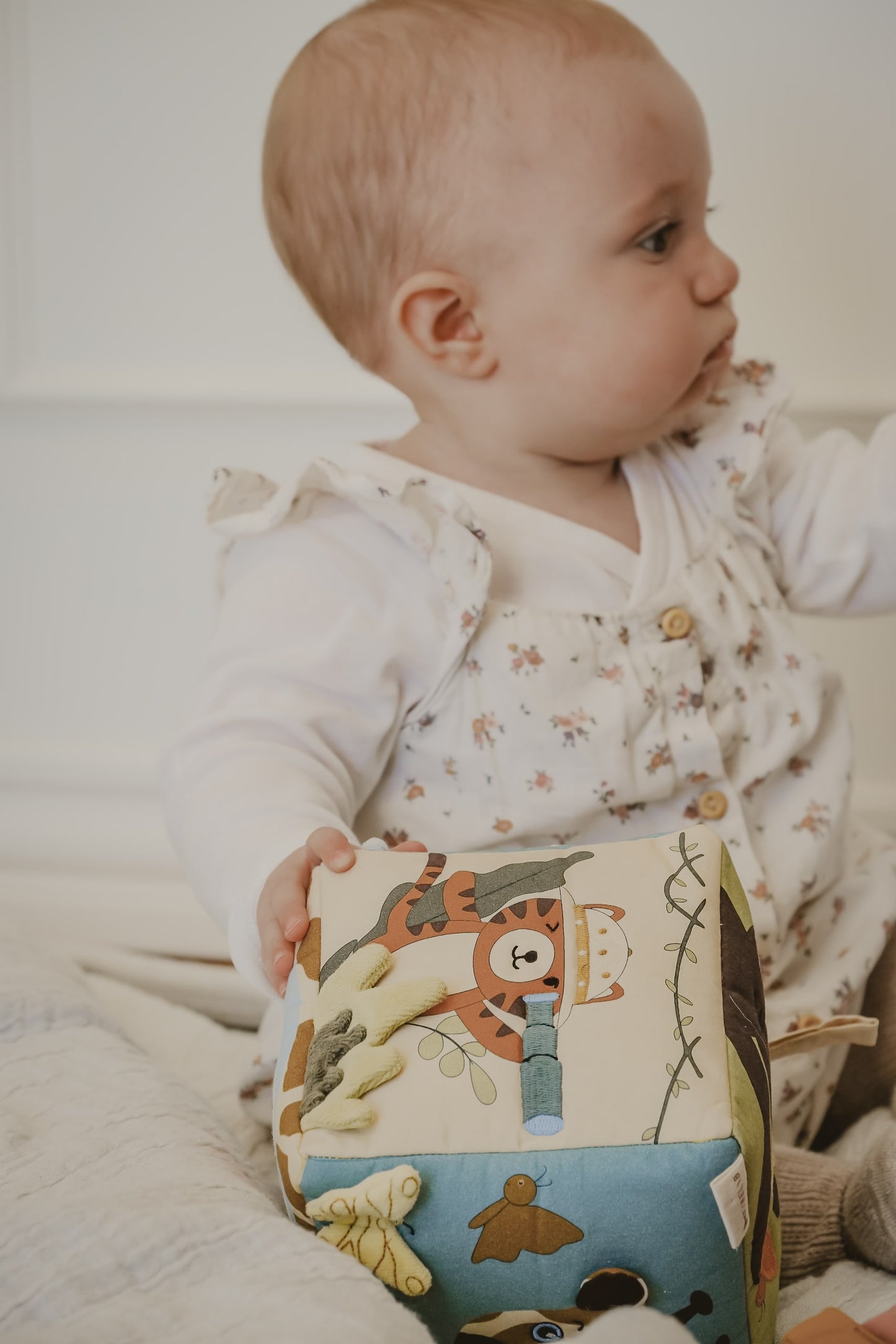 Cubo de Tela Safari - Pre Ordena