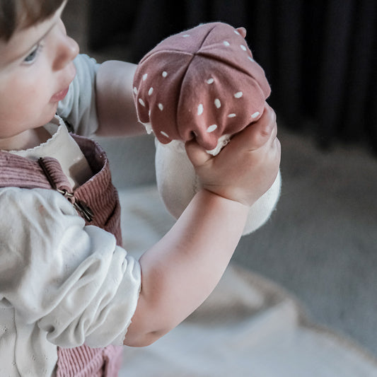 Mushroom Buddy - Pre Ordena