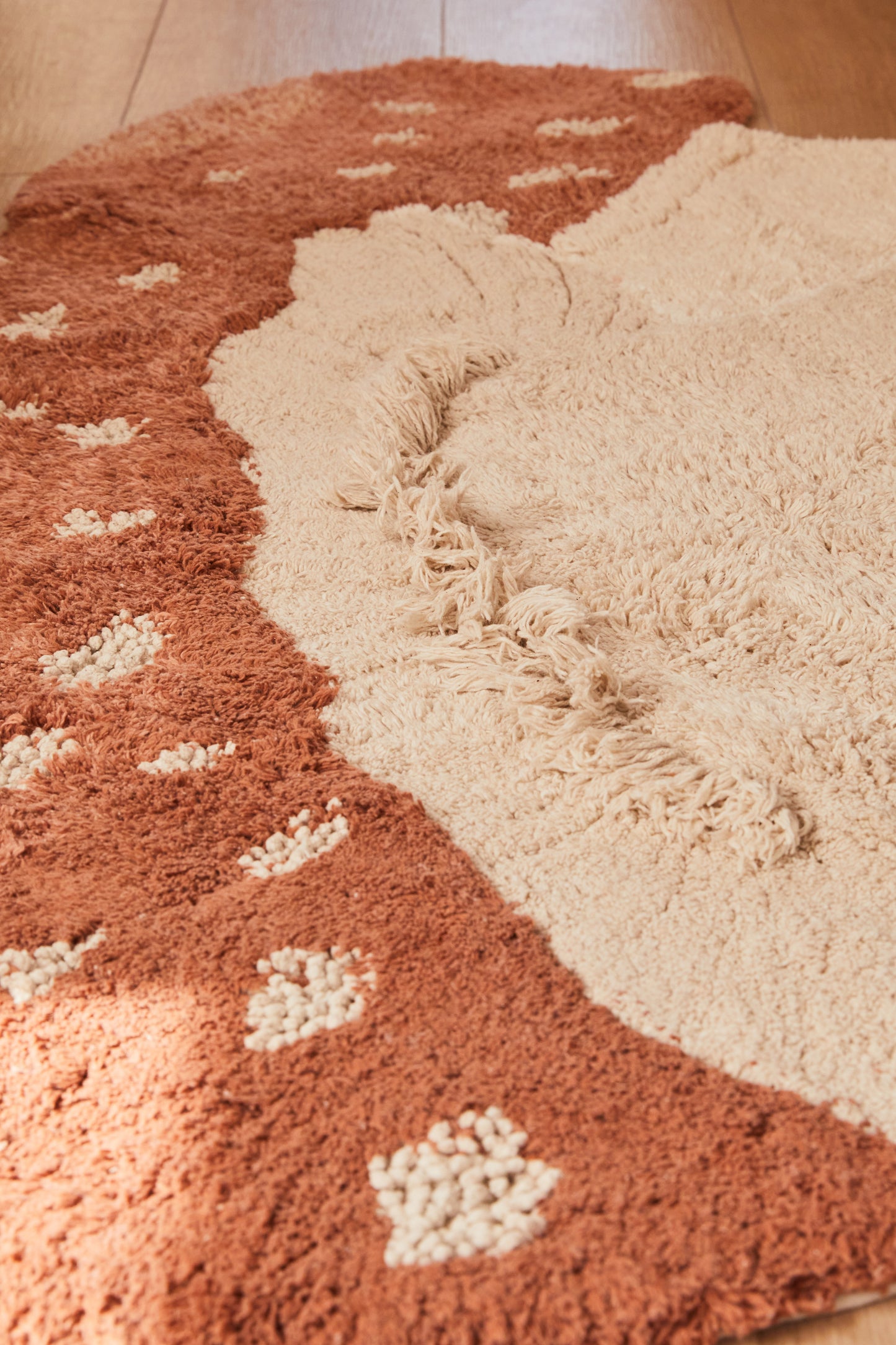 Tapete Mushroom Boletus