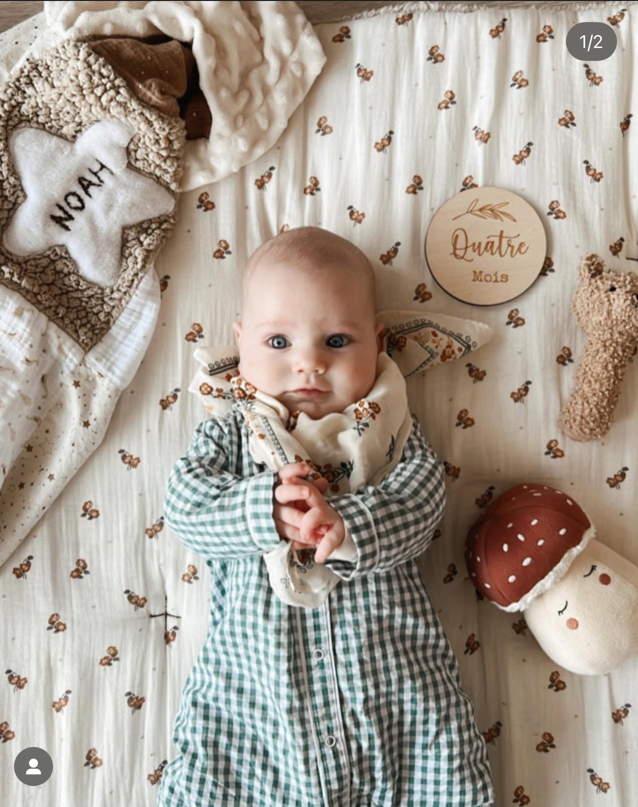 Mushroom Buddy - Pre Ordena