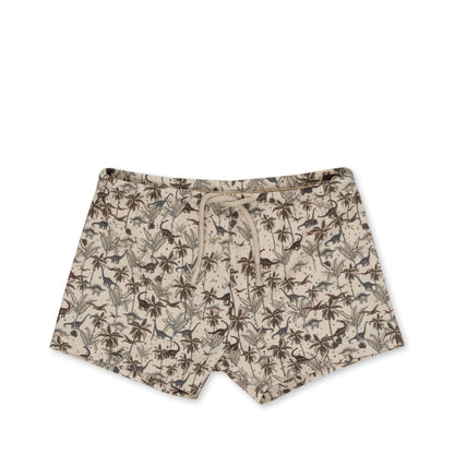 Dino Swim Pants