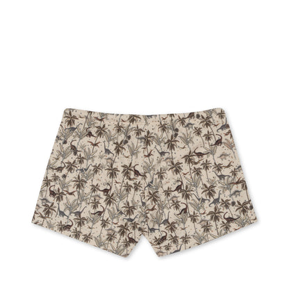 Dino Swim Pants