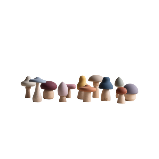 Shrooms Magic Forest