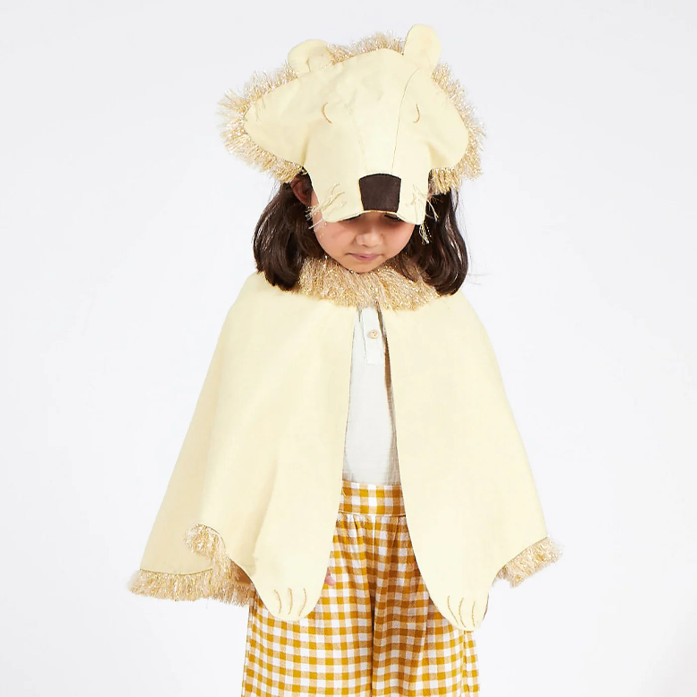 Lion Costume - Pre Ordena