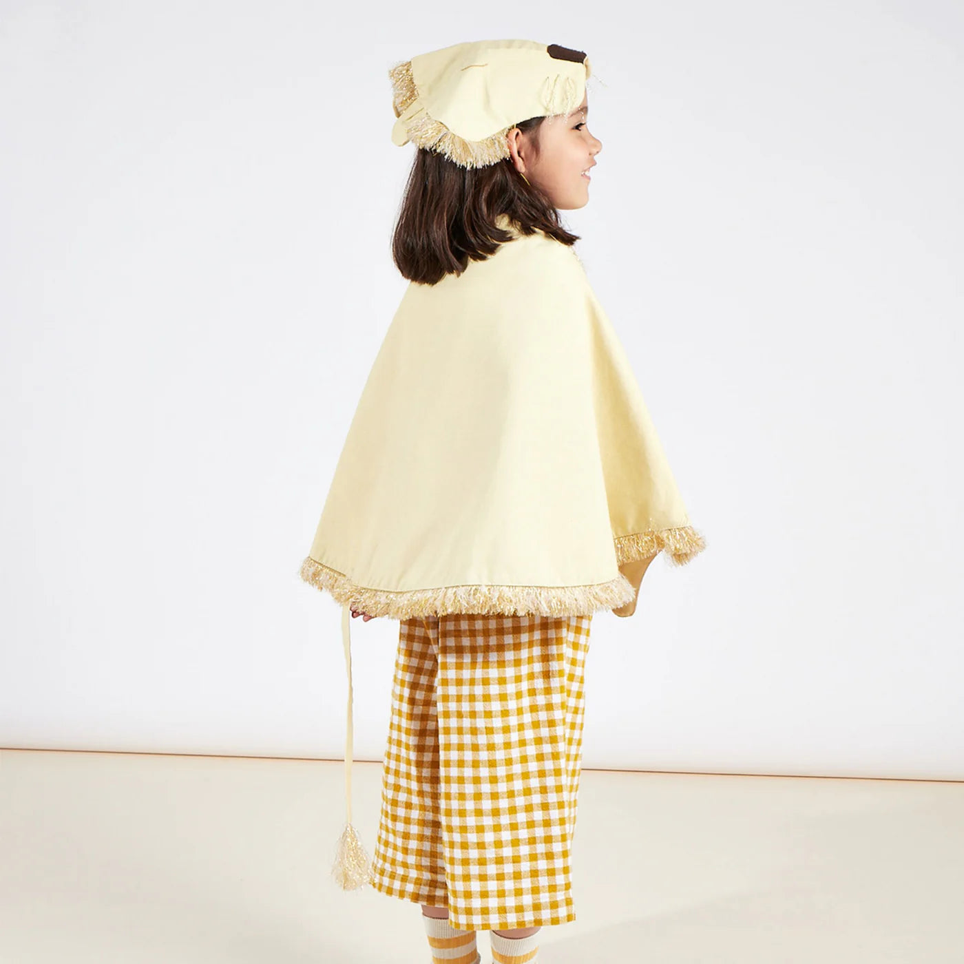 Lion Costume - Pre Ordena