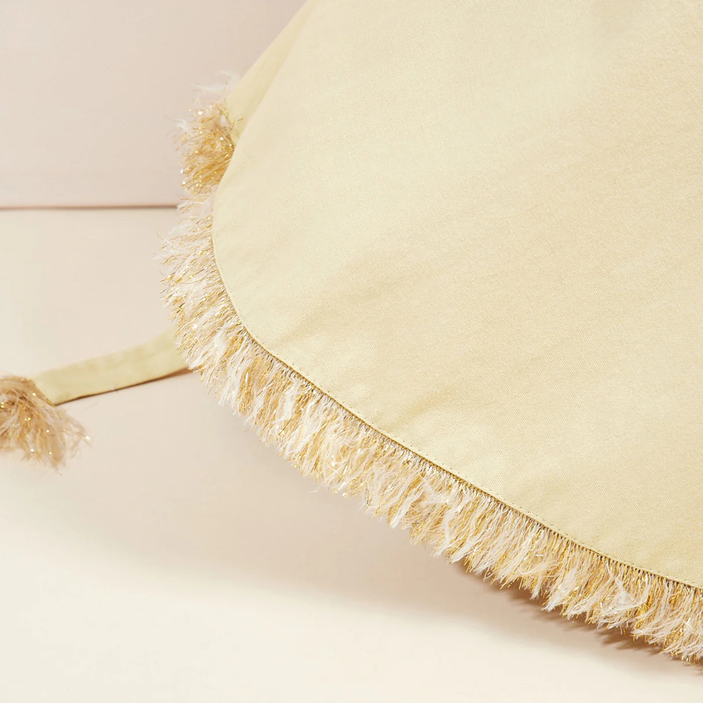 Majestic Lion Adventure