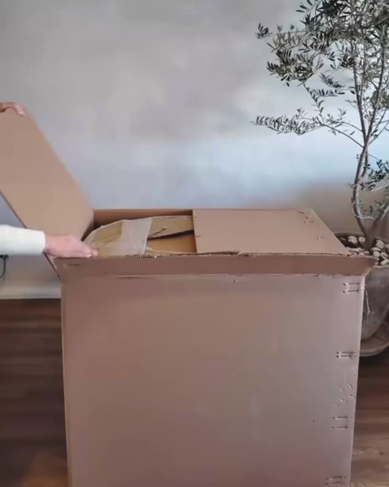 Video: Moisés colecho Mateo desmontado — Versátil Tenue Baby