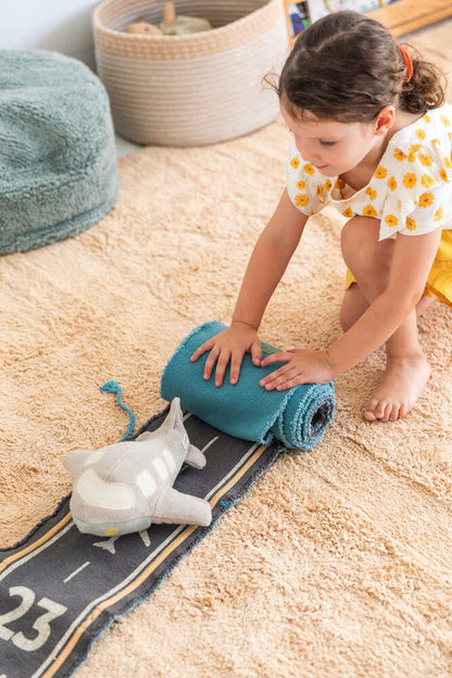 Ride & Roll Plane Toy