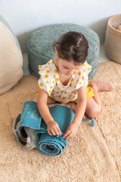 Ride & Roll Plane Toy