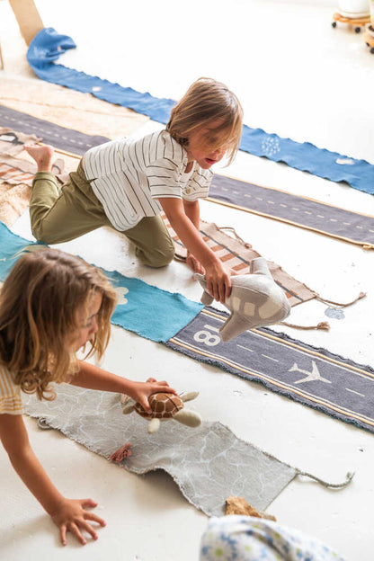 Ride & Roll Plane Toy