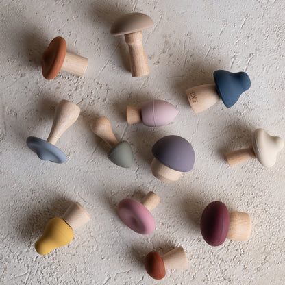 Shrooms Magic Forest