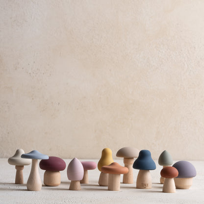 Shrooms Magic Forest